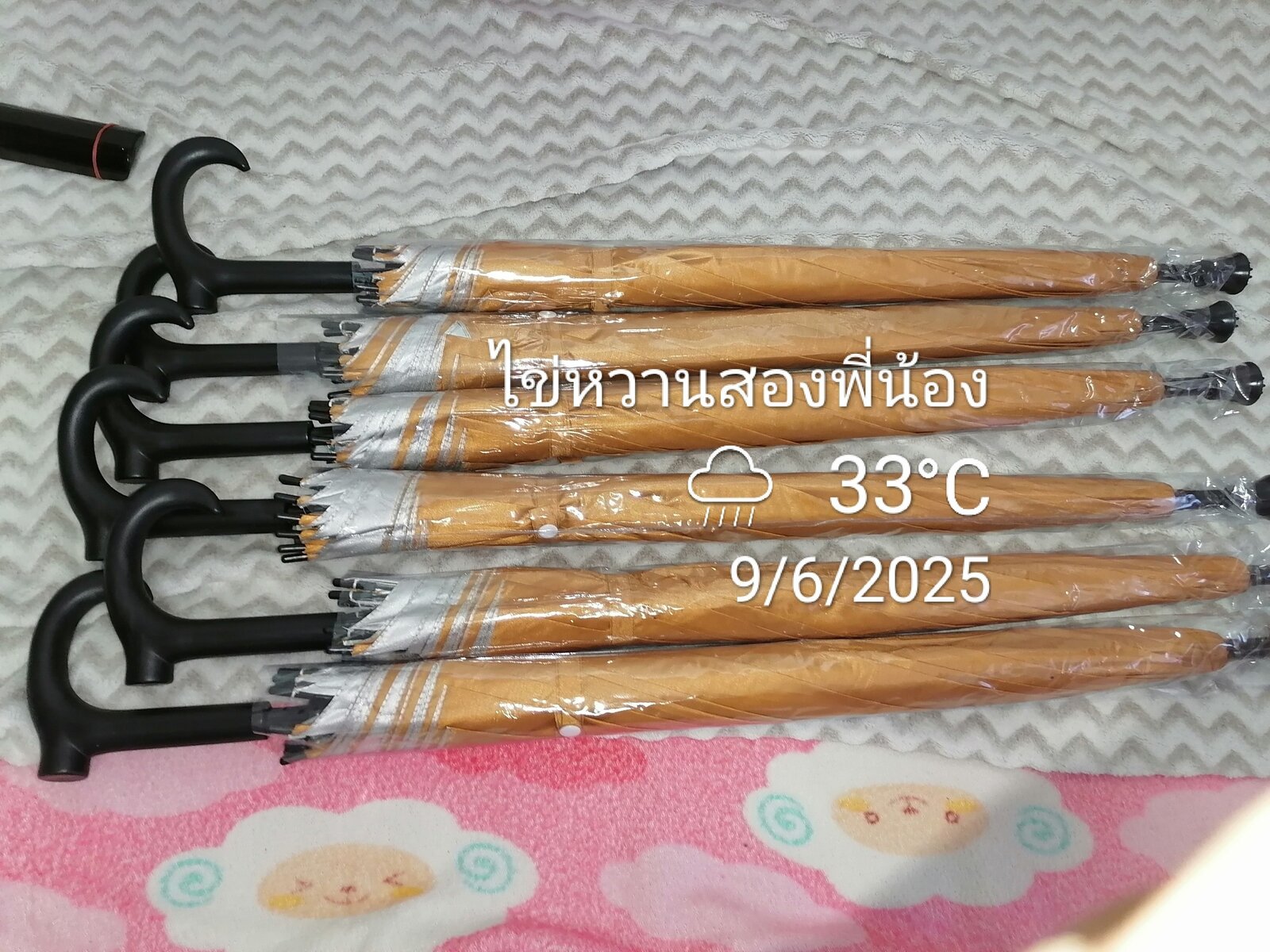 ร่ม 6 คัน.jpg