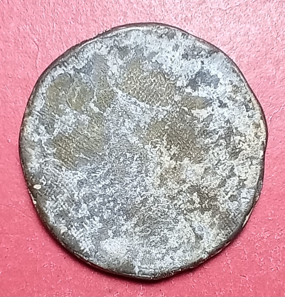 20260216_144734.jpg